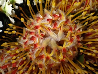 PB100916a.jpg